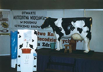 Na této krávě se konalo dvoudenní klání v dojení. (Vítěz nám nebyl panem Wiechou oznámen.)