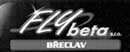 Logo Fly-beta