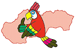  Kresba papouka 